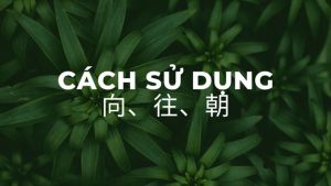 Cách sử dụng向、往、朝