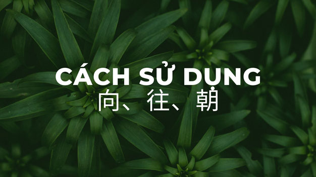 Cách sử dụng向、往、朝