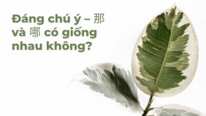 Đáng chú ý – 那 và 哪 có giống nhau không?