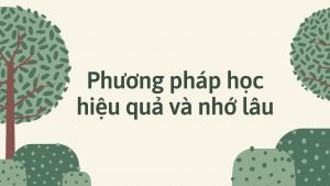 Phương pháp học hiệu quả và nhớ lâu