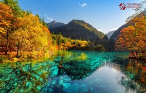 Vẻ đẹp hớp hồn của thung lũng Jiuzhaigou