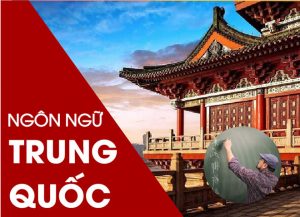 Ngôn ngữ Trung Quốc